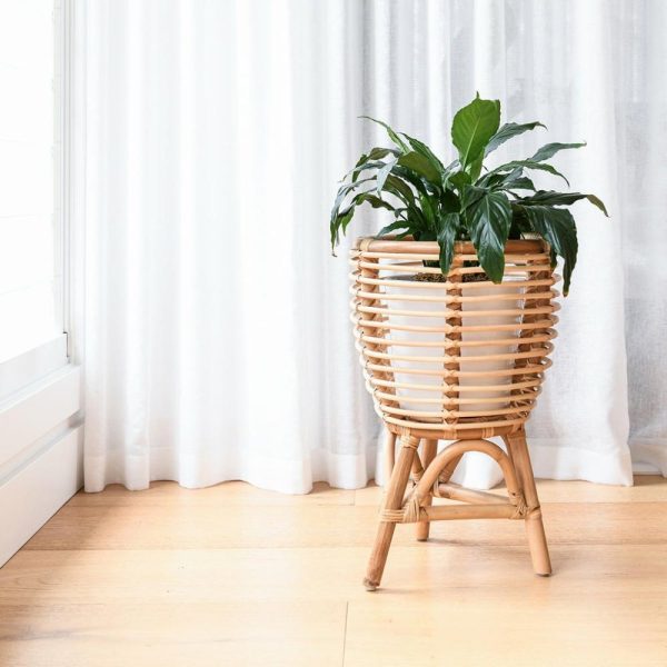 Billy Rattan Planter – Large Homewares