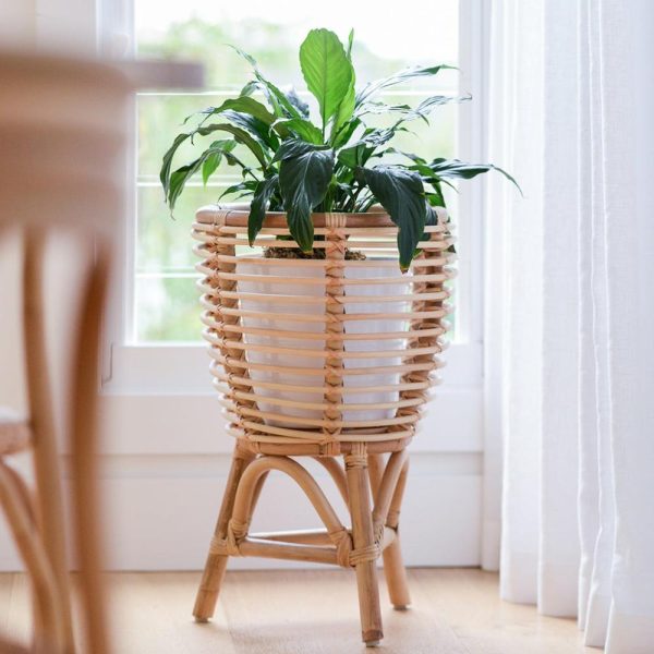 Billy Rattan Planter – Large Homewares