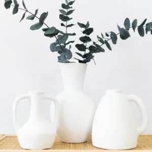 Single Handle Jug Homewares