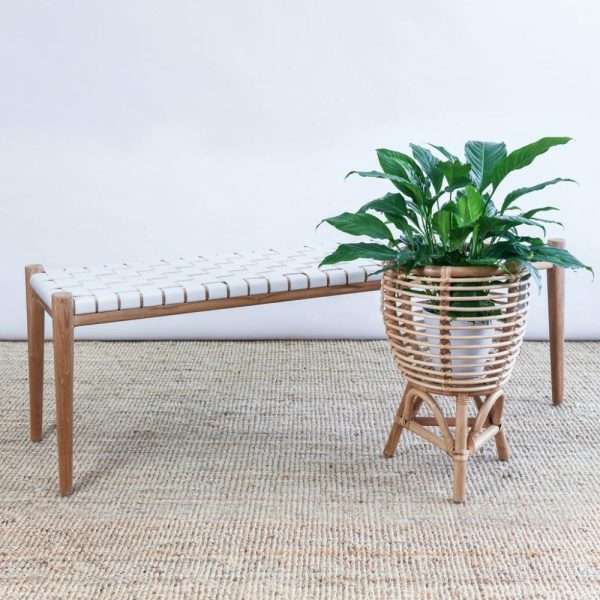 Zigi Teak + Woven Leather Bench Furniture