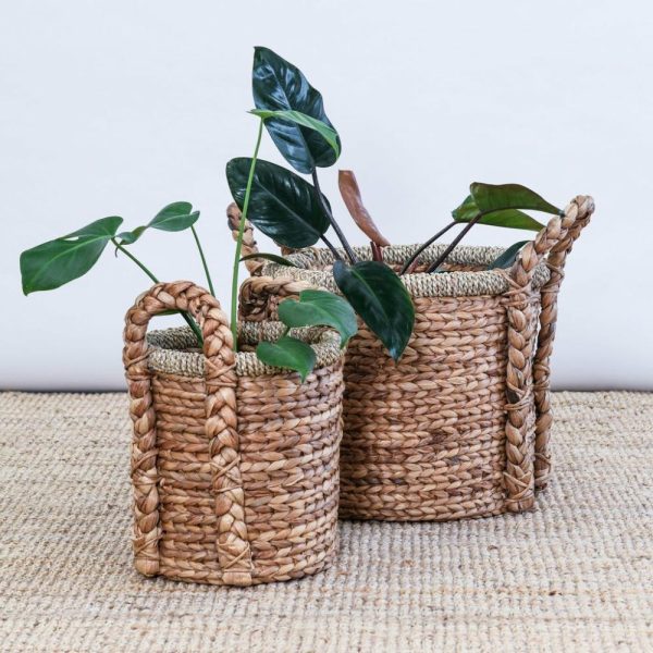 Water Hyacinth Basket With Handles Baskets